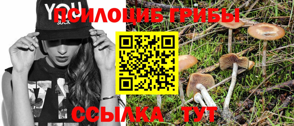 Галлюциногенные грибы ЛСД Красноперекопск