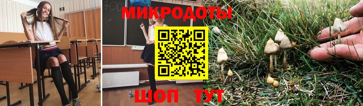 Псилоцибиновые грибы прущие грибы  закладки  Вход с VPN  Красноперекопск  Галлюциногенные грибы Magic Shrooms 